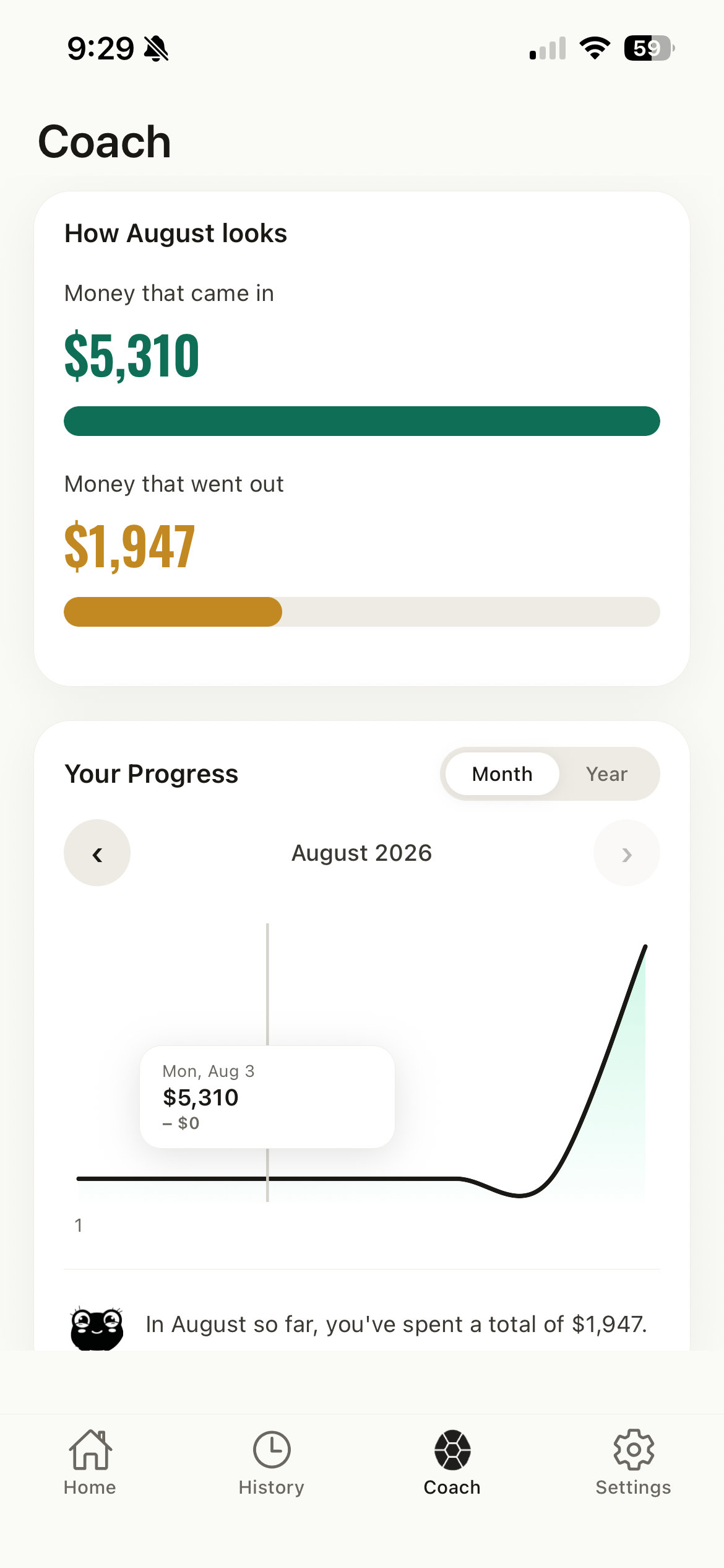 Coach tab: money in, money out, and the month drawn as a line
